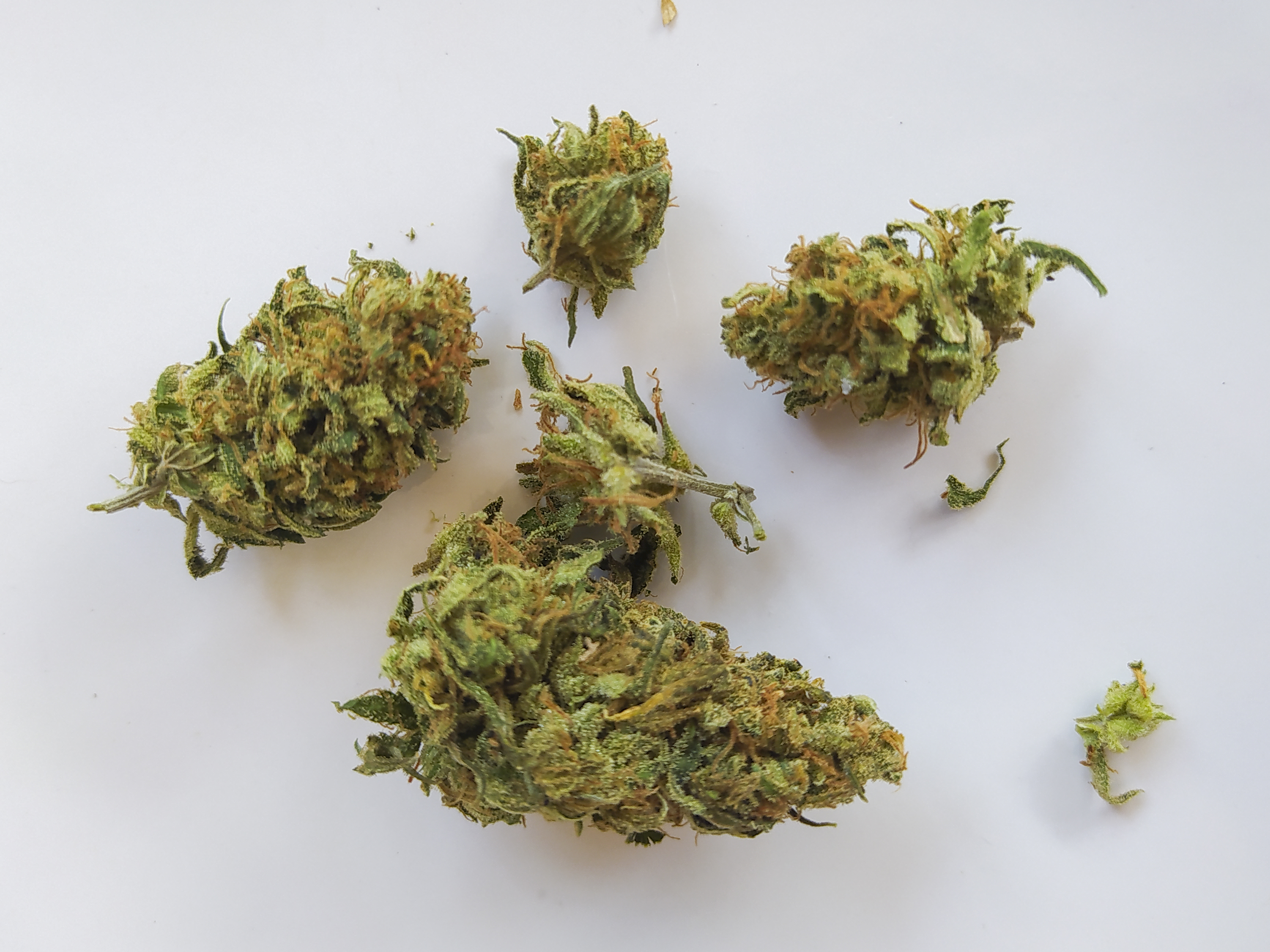 Amnesia Haze