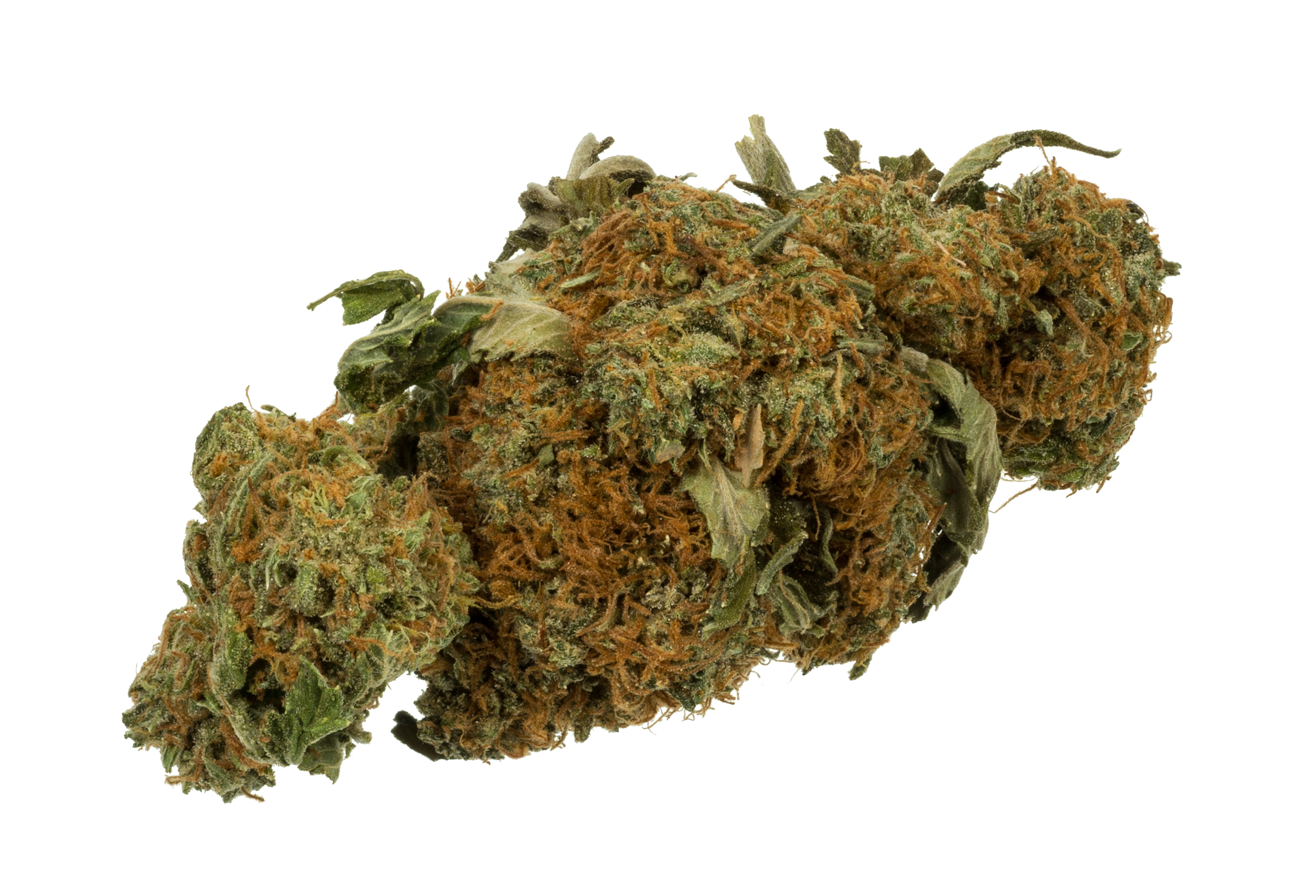 Granddaddy Purple