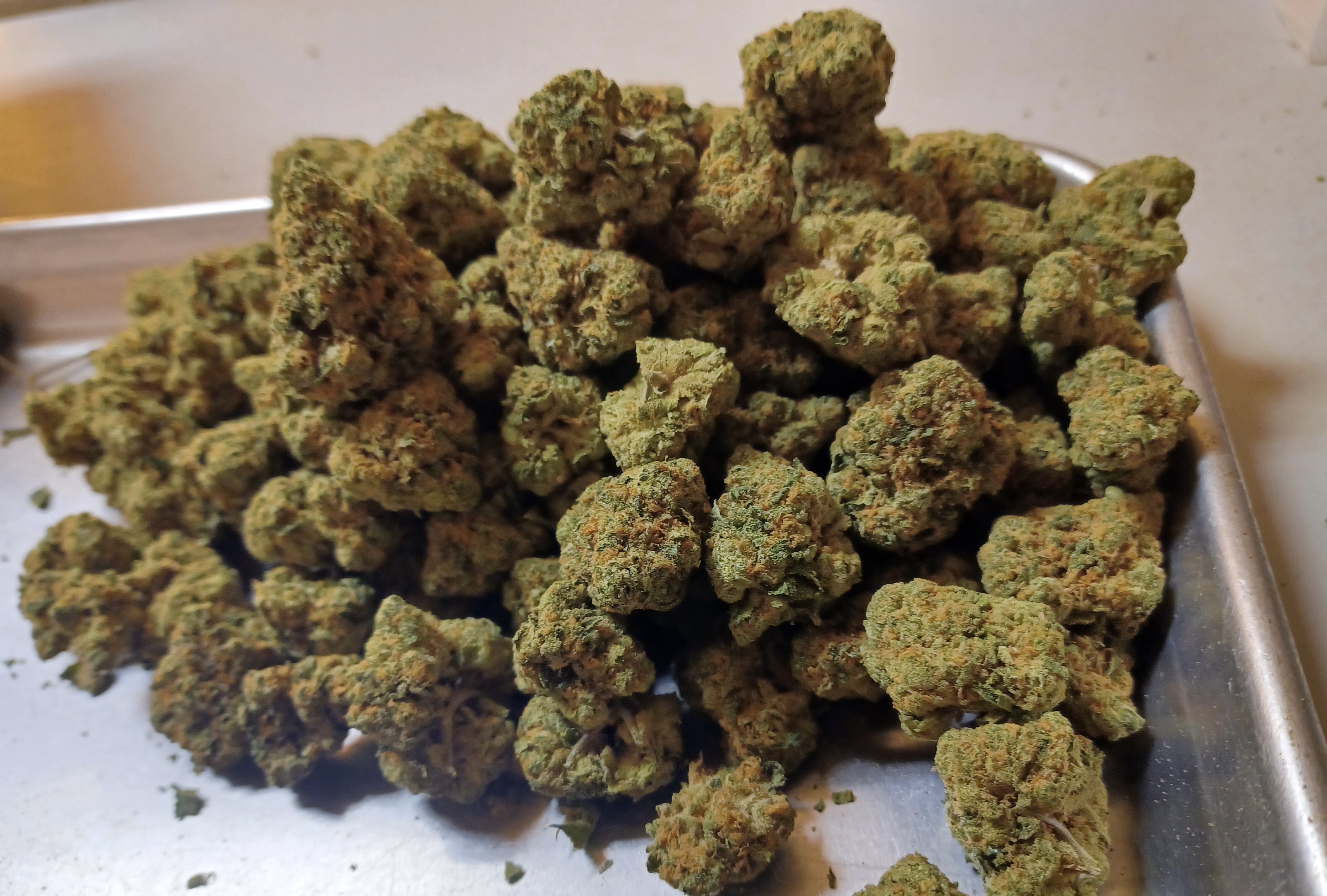 Girl Scout Cookies