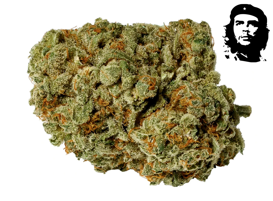 Siberian Haze