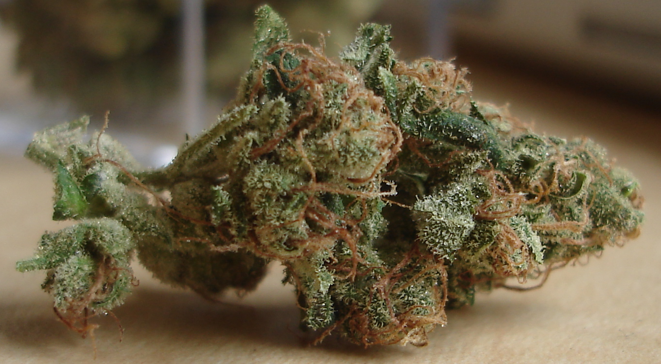 Purple Haze