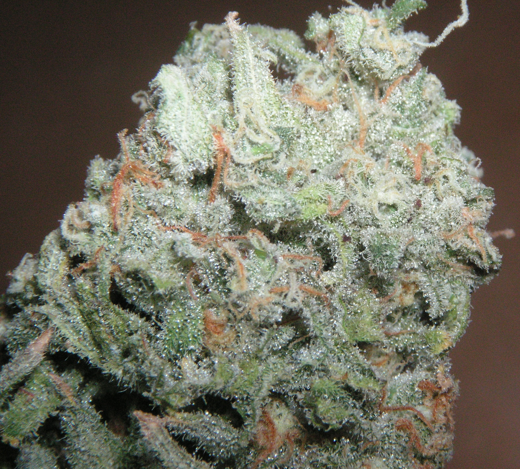 Trainwreck